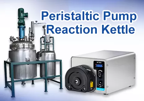 What Is the Role of the Peristaltic Pump Applied for Chemical Feeding Reaction Kettle?