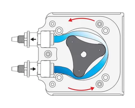 Why the Peristaltic Pump Cannot Suck Liquids Upwards?